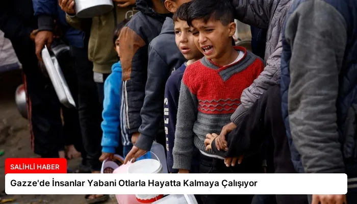 Gazze’de İnsanlar Yabani Otlarla Hayatta Kalmaya Çalışıyor