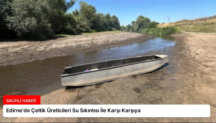 Edirne’de Çeltik Üreticileri Su Sıkıntısı İle Karşı Karşıya