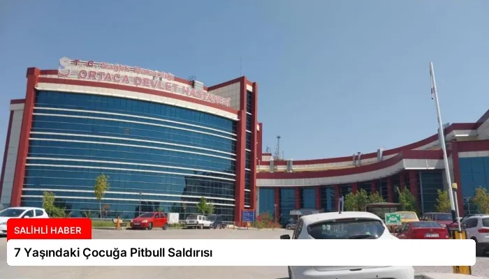 7 Yaşındaki Çocuğa Pitbull Saldırısı