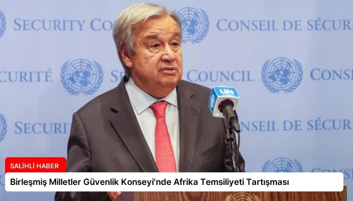 Birleşmiş Milletler Güvenlik Konseyi’nde Afrika Temsiliyeti Tartışması