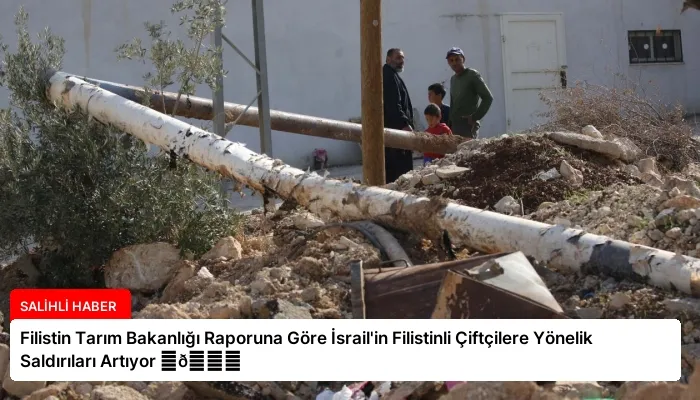 Filistin Tarım Bakanlığı Raporuna Göre İsrail’in Filistinli Çiftçilere Yönelik Saldırıları Artıyor ⏬👇