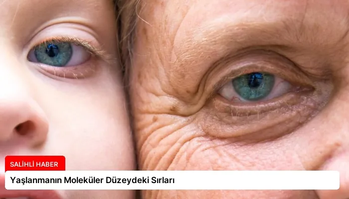 Yaşlanmanın Moleküler Düzeydeki Sırları