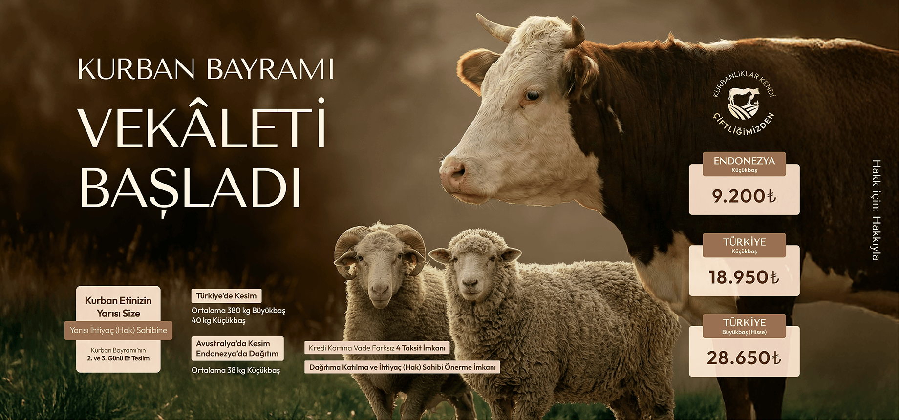 Kurban Kesmeyi Düşünenler İçin: Bağış Yapmadan Önce Bilmeniz Gerekenler