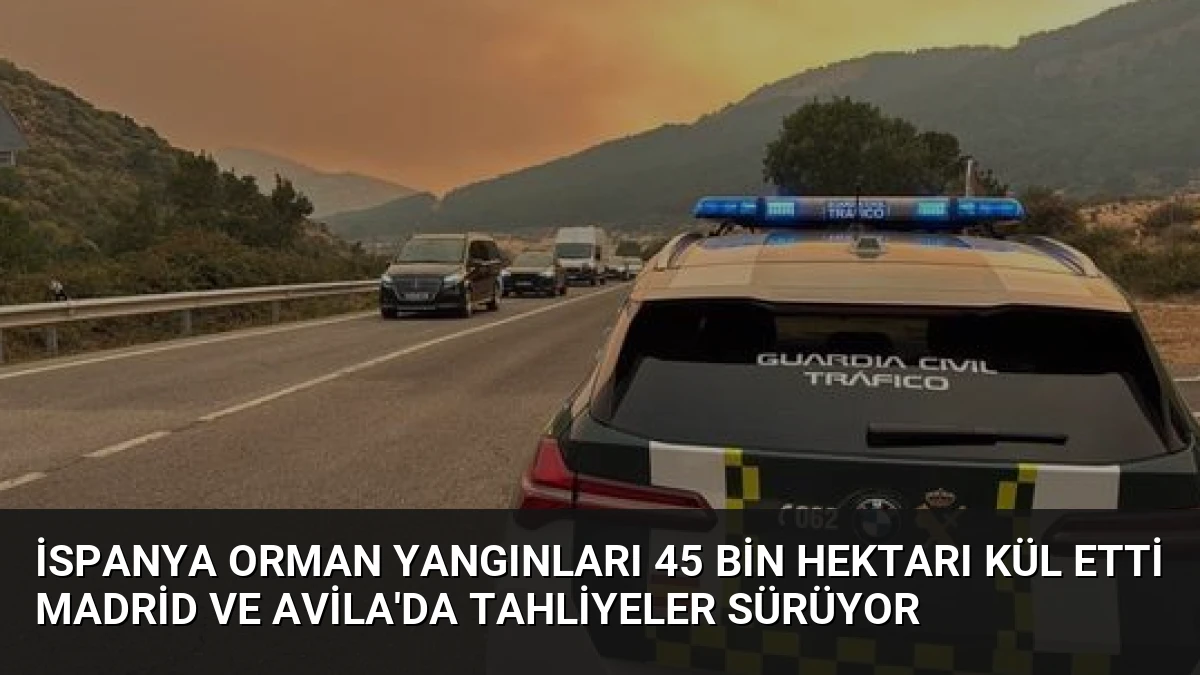 İspanya Orman Yangınları 45 Bin Hektarı Kül Etti Madrid ve Avila’da Tahliyeler Sürüyor