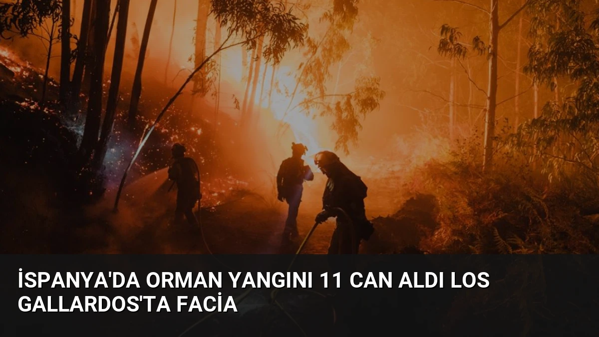 İspanya’da Orman Yangını 11 Can Aldı Los Gallardos’ta Facia
