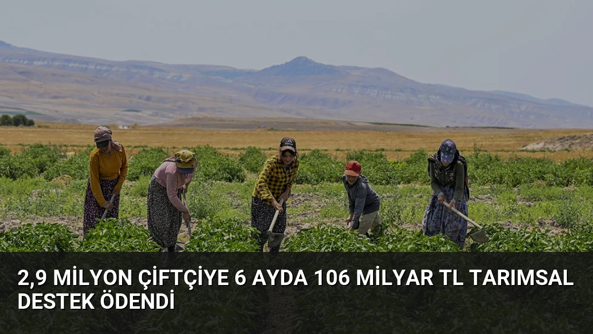 2,9 Milyon Çiftçiye 6 Ayda 106 Milyar TL Tarımsal Destek Ödendi