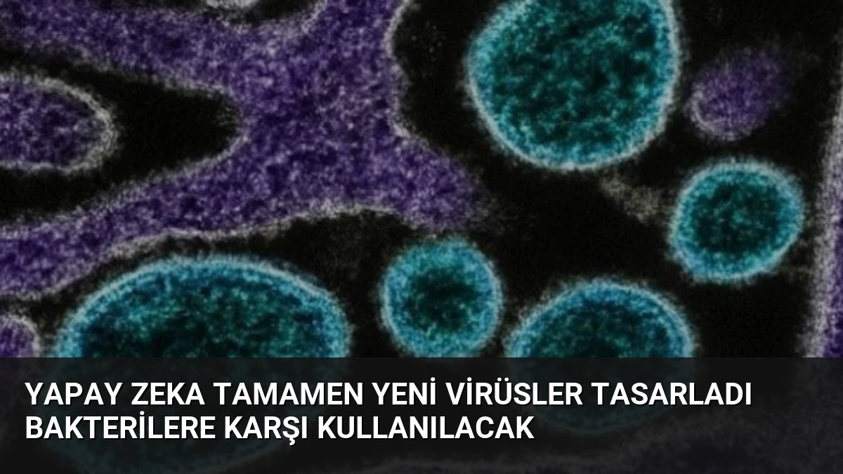 Yapay Zeka Tamamen Yeni Virüsler Tasarladı Bakterilere Karşı Kullanılacak