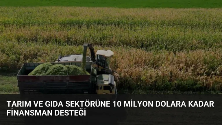 Tarım ve Gıda Sektörüne 10 Milyon Dolara Kadar Finansman Desteği