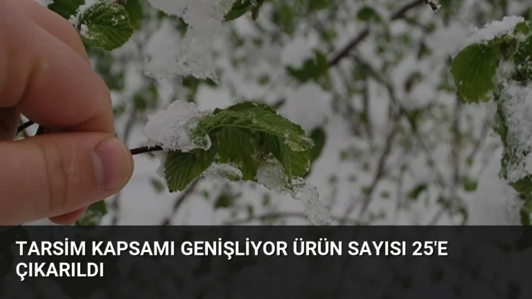 TARSİM Kapsamı Genişliyor Ürün Sayısı 25’e Çıkarıldı