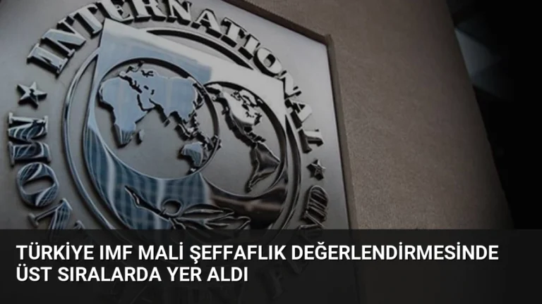 Türkiye IMF Mali Şeffaflık Değerlendirmesinde Üst Sıralarda Yer Aldı